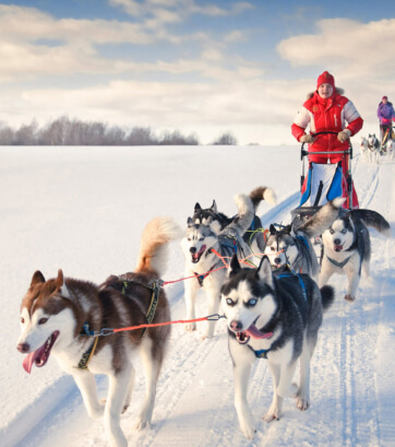 Senza pari: Visit Brescia